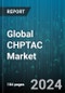 Global CHPTAC Market by End-use (Oil & Gas, Paper, Textile) - Forecast 2023-2030 - Product Image