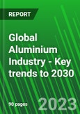 Global Aluminium Industry - Key Trends to 2030- Product Image