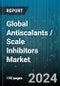 Global Antiscalants / Scale Inhibitors Market by Type (Carboxylates, Fluorides, Phosphate Salts), Application (Boilers, Filters, Heat Exchangers), End-User - Forecast 2024-2030 - Product Image