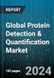Global Protein Detection & Quantification Market by Product (Instruments, Kits & Reagents/Consumables, Services), Technology (Chromatography, Colorimetric Assays, Immunological methods), Application, End-User - Forecast 2024-2030 - Product Image
