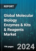 Global Molecular Biology Enzymes & Kits & Reagents Market by Type (Enzymes, Kits, Reagents), Application (Drug Discovery & Development, Epigenetics, Polymerase Chain Reaction), End-User - Forecast 2024-2030- Product Image