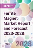 Ferrite Magnet Market Report and Forecast 2023-2028- Product Image