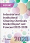 Industrial and Institutional Cleaning Chemicals Market Report and Forecast 2023-2028 - Product Thumbnail Image