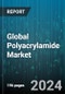 Global Polyacrylamide Market by Form (Liquid, Solid), Type (Anionic, Cationic, Non-ionic), Application - Forecast 2024-2030 - Product Image