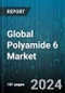 Global Polyamide 6 Market by End-Use (Aerospace, Automotive, Building & Construction), Grade (Glat FDY, High Tenacity, Monofilament) - Forecast 2024-2030 - Product Thumbnail Image
