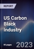 US Carbon Black Industry Outlook to 2028- Product Image