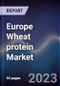 Europe Wheat protein Market Outlook to 2028 - Product Image