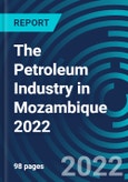 The Petroleum Industry in Mozambique 2022- Product Image