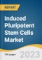 Induced Pluripotent Stem Cells Market Size, Share & Trends Analysis Report By Derived Cell Type (Hepatocytes, Fibroblasts), By Application (Drug Development, Toxicology Research), End-user, By Region, And Segment Forecasts, 2023 - 2030 - Product Image