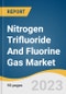 Nitrogen Trifluoride And Fluorine Gas Market Size, Share, & Trends Analysis By NF3 Application (Semiconductor Chips, Flat Panel Display, Solar Cells, Others), By F2 Application, By Region, And Segment Forecasts, 2023 - 2030 - Product Image