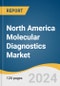 North America Molecular Diagnostics Market Size, Share & Trends Analysis Report By Product (Instruments, Reagents, Others), By Test Location, By Technology (PCR, ISH, INAAT, Sequencing), By Application, By Country, And Segment Forecasts, 2023 - 2030 - Product Thumbnail Image