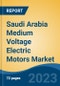 Saudi Arabia Medium Voltage Electric Motors Market, Competition, Forecast & Opportunities, 2028 - Product Thumbnail Image
