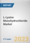 L-Lysine Monohydrochloride Market By End-use Industry (Animal Nutrition, Pharmaceutical, Food and Beverage, Personal Care and Cosmetics, Others): Global Opportunity Analysis and Industry Forecast, 2023-2032 - Product Image