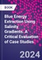 Blue Energy Extraction Using Salinity Gradients. A Critical Evaluation of Case Studies - Product Thumbnail Image