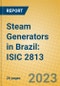 Steam Generators in Brazil: ISIC 2813 - Product Thumbnail Image