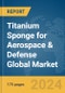 Titanium Sponge for Aerospace & Defense Global Market Report 2024 - Product Image