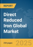 Direct Reduced Iron Global Market Report 2025- Product Image