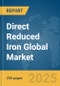 Direct Reduced Iron Global Market Report 2025 - Product Thumbnail Image