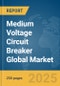 Medium Voltage Circuit Breaker Global Market Report 2025 - Product Image