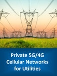 Private 5G/4G Cellular Networks for Utilities: 2023-2030- Product Image