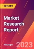 Long Duration Energy Storage LDES Beyond Grids: Markets, Technologies for Microgrids, Minigrids, Buildings, Industrial Processes 0.1-500MWh 2024-2044- Product Image