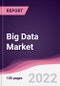 Big Data Market - Forecast (2023 - 2028) - Product Thumbnail Image