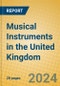 Musical Instruments in the United Kingdom: ISIC 3692 - Product Image