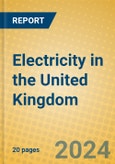 Electricity in the United Kingdom: ISIC 401- Product Image