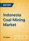 Indonesia Coal Mining Market by Reserves and Production, Assets and Projects, Fiscal Regime with Taxes, Royalties and Forecast to 2030 - Product Image