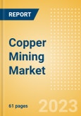 Copper Mining Market Analysis by Reserves, Production, Assets, Demand Drivers and Forecast to 2030- Product Image