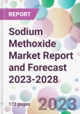 Sodium Methoxide Market Report and Forecast 2023-2028- Product Image