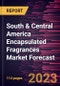 South & Central America Encapsulated Fragrances Market Forecast to 2028 - Regional Analysis By Product Type, and Application - Product Thumbnail Image