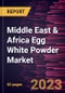 Middle East & Africa Egg White Powder Market Forecast to 2028- COVID-19 Impact and Regional Analysis- by type and Application Food and Beverages, Personal Care, and Others) - Product Image