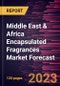 Middle East & Africa Encapsulated Fragrances Market Forecast to 2028 - Regional Analysis By Product Type and Application - Product Thumbnail Image