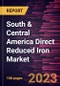 South & Central America Direct Reduced Iron Market Forecast to 2030- COVID-19 Impact and Regional Analysis- by Form, Production Process, Application - Product Thumbnail Image