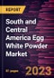 South and Central America Egg White Powder Market Forecast to 2028- COVID-19 Impact and Regional Analysis- by type and Application Food and Beverages, Personal Care, and Others) - Product Thumbnail Image