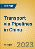 Transport via Pipelines in China- Product Image