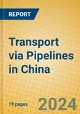 Transport via Pipelines in China- Product Image