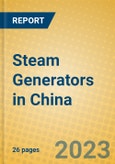 Steam Generators in China- Product Image