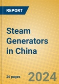 Steam Generators in China- Product Image