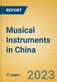 Musical Instruments in China- Product Image