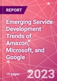 Emerging Service Development Trends of Amazon, Microsoft, and Google- Product Image