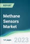 Methane Sensors Market - Forecasts from 2023 to 2028 - Product Thumbnail Image