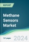 Methane Sensors Market - Forecasts from 2023 to 2028 - Product Thumbnail Image