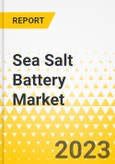 Sea Salt Battery Market- Product Image