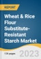 Wheat & Rice Flour Substitute-Resistant Starch Market Size, Share & Trends Analysis Report By Source (Fruits & Nuts, Grains, Vegetables, Cereal Food, Beans & Legumes), By Product, By Application, By Region, And Segment Forecasts, 2023 - 2030 - Product Thumbnail Image