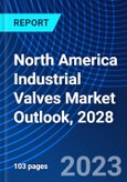 North America Industrial Valves Market Outlook, 2028- Product Image