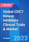 Global CDC7 Kinase Inhibitors Clinical Trials & Market Opportunity Insight 2024 - Product Image