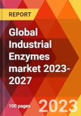 Global Industrial Enzymes market 2023-2027- Product Image