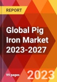 Global Pig Iron Market 2023-2027- Product Image